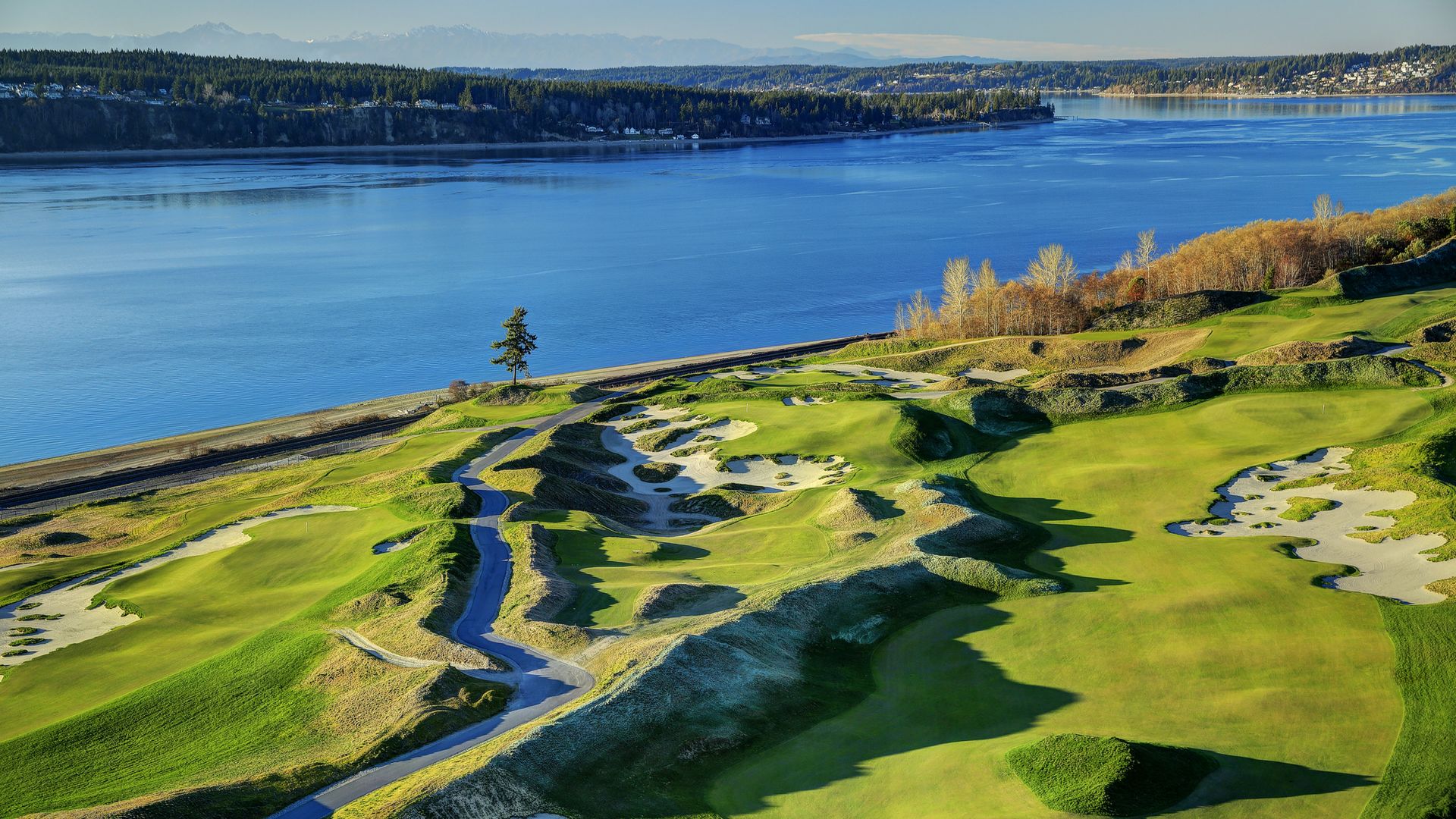 Chambers Bay Gold Course
