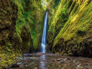 Oneonta Gorge Portland Watering Hole