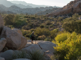 Hiker at a viewpoint on Barker Dam trail in Joshua Tree National Park